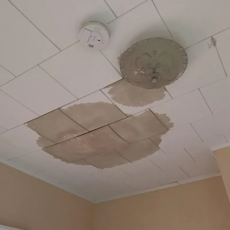 Ceiling Water Damage Repair in Midland County, TX