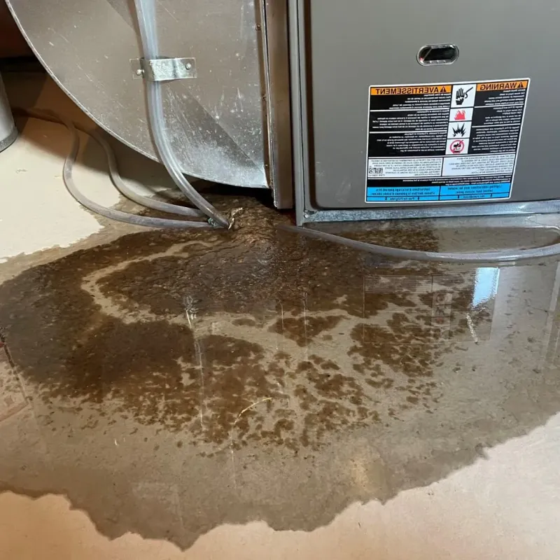 Pipe Burst and Leak Restoration in Midland County, TX