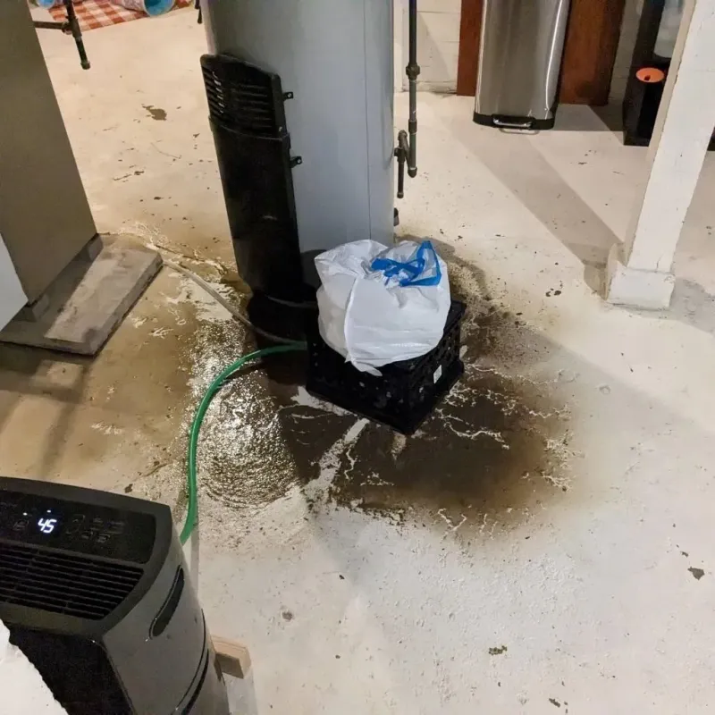 Sewage Backup Cleanup Service in Midland County, TX